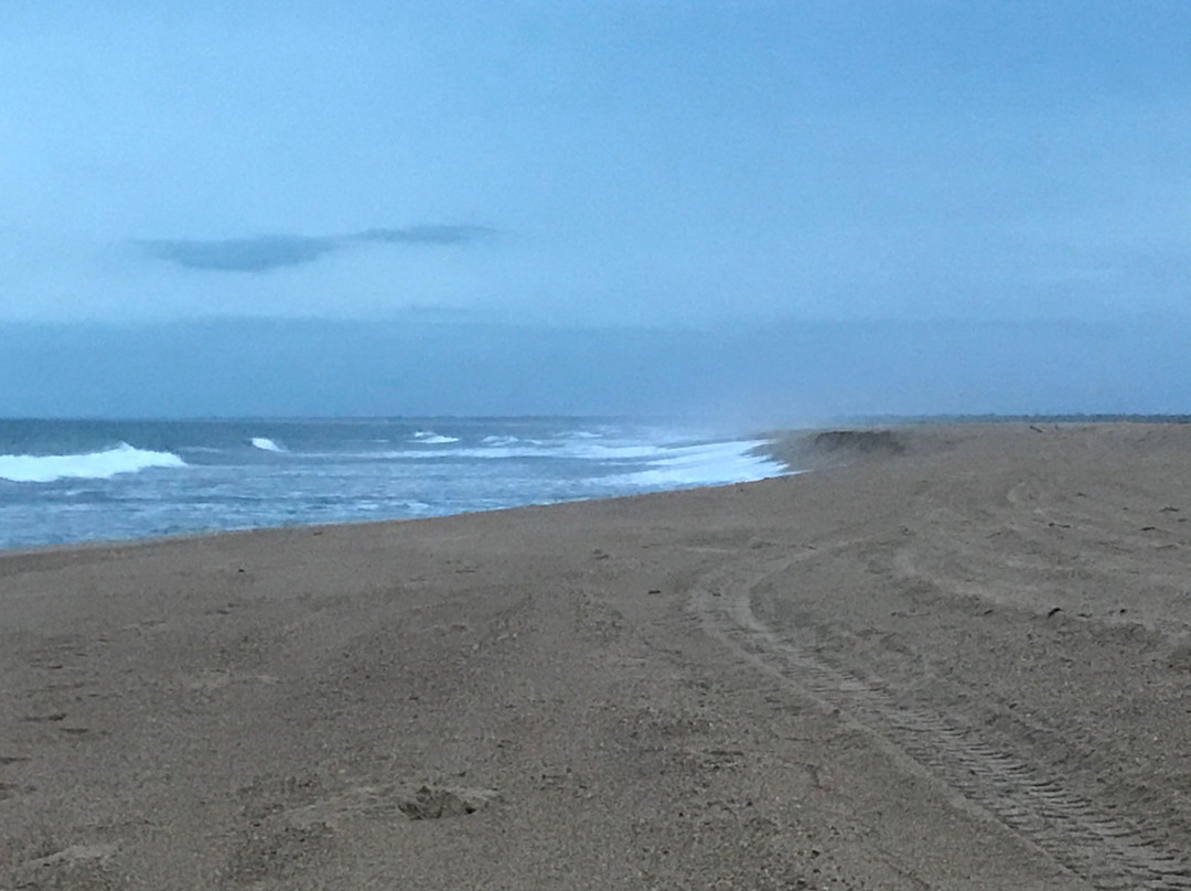 Projeto Tamar Comboios-Linhares必去景点