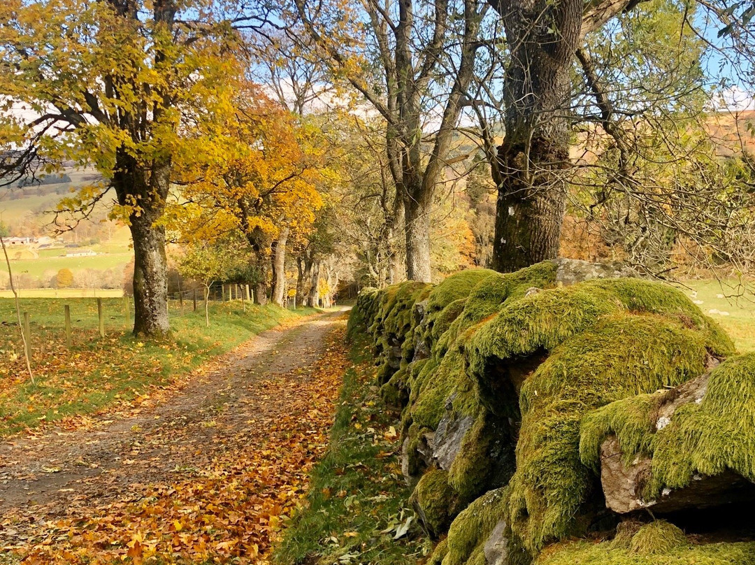 Cateran Trail-Blairgowrie必去景点