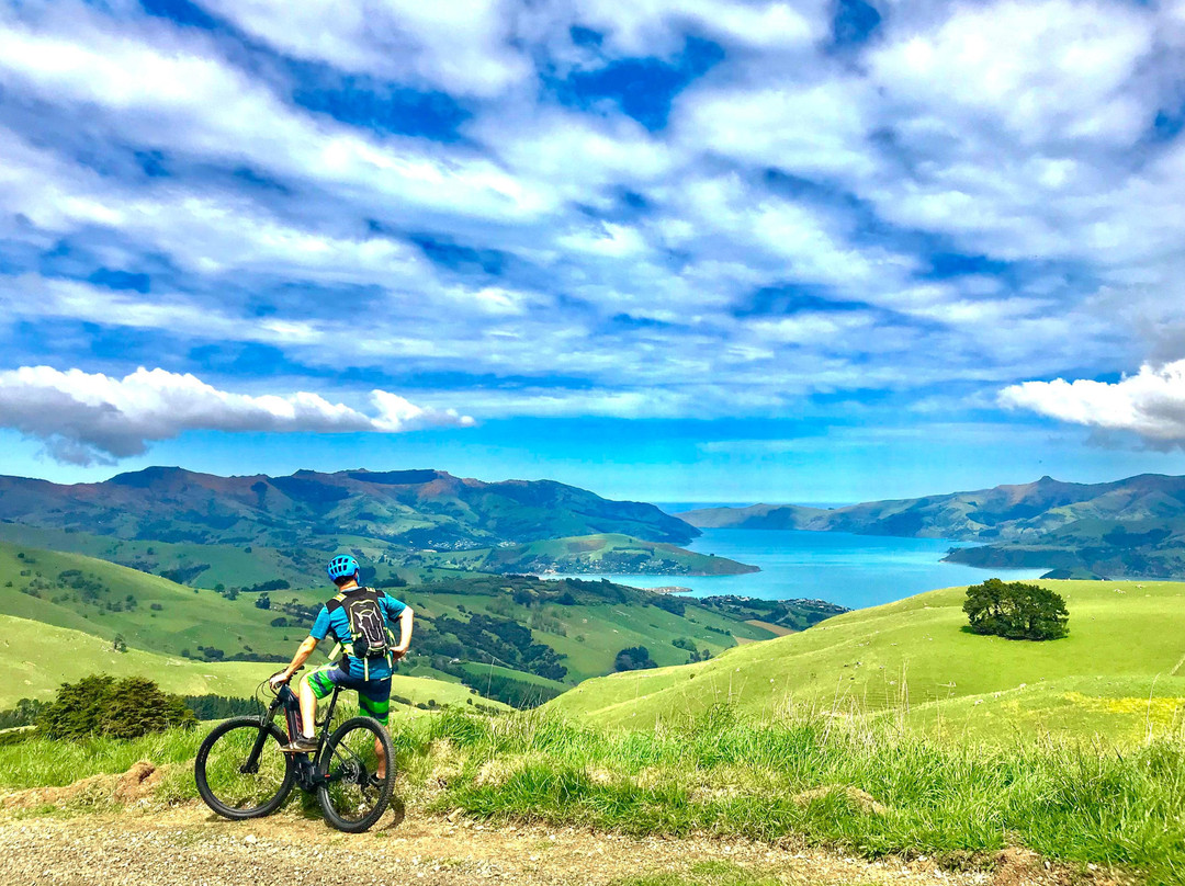 Akaroa Ebike Safaris景点图片