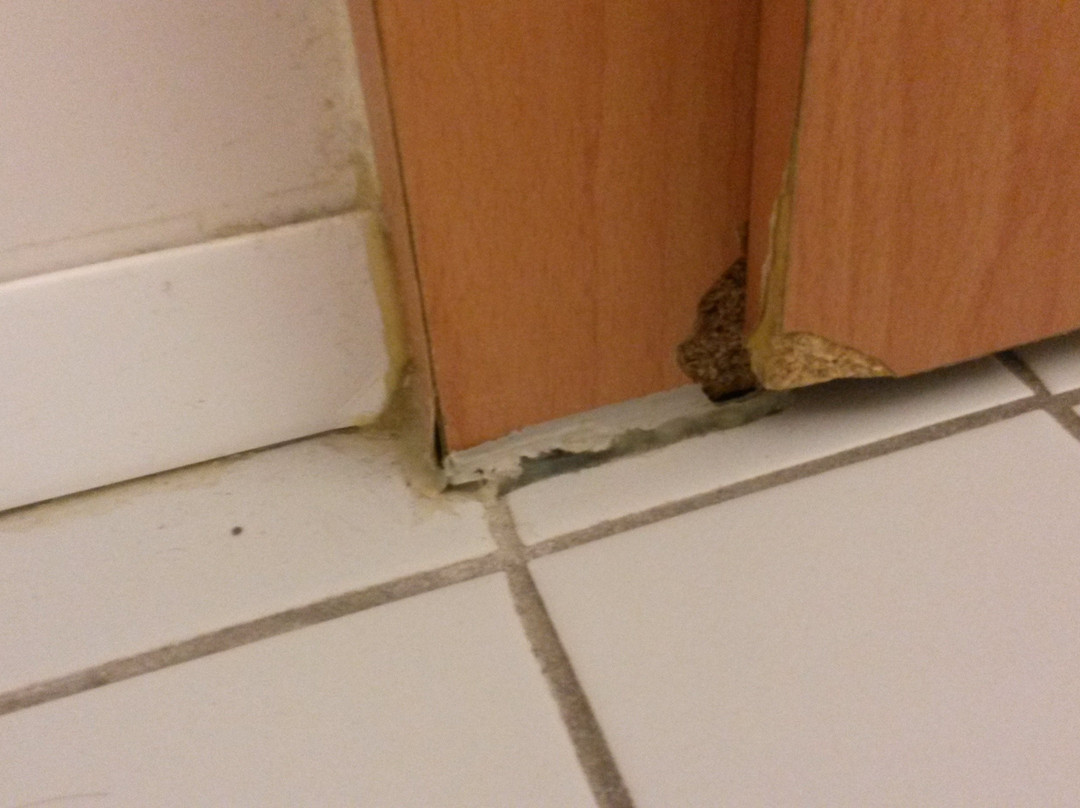 Hotel Zur Burg Sternberg GmbH & Co. KG主图