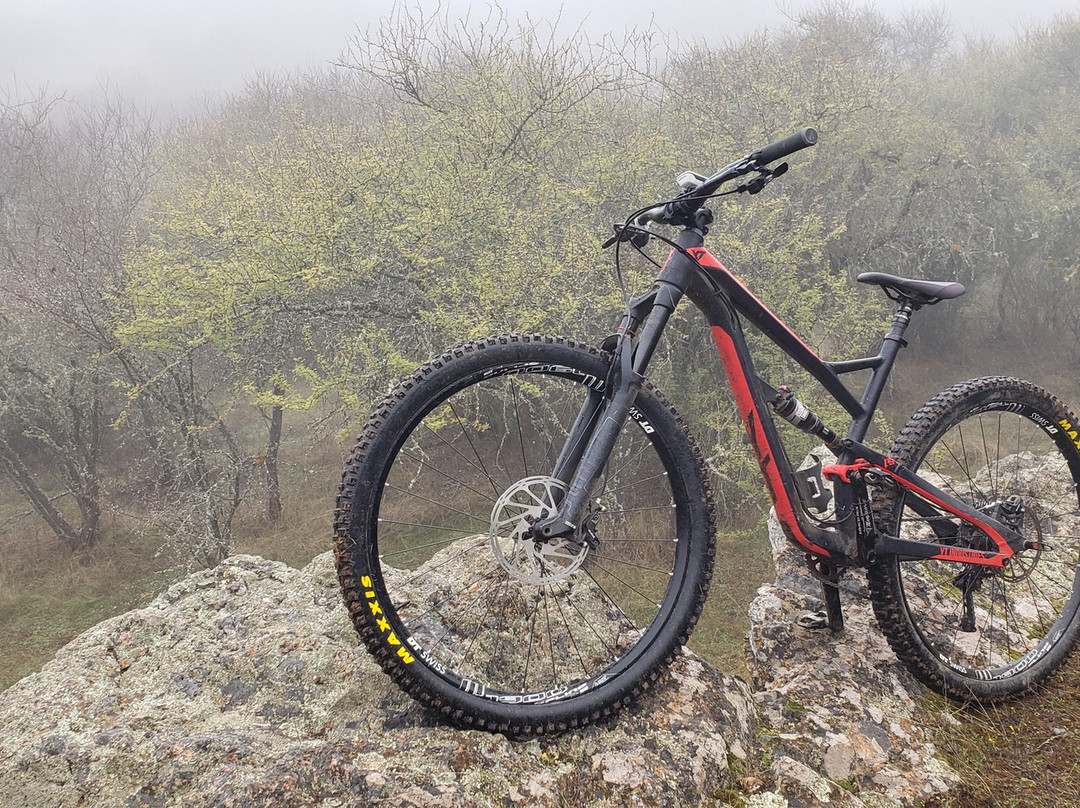 Amukan Experience Day Trips-Linares必去景点