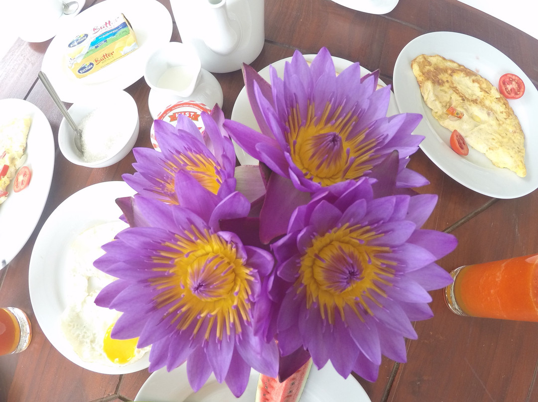 Mama's Palace Hiriketiya