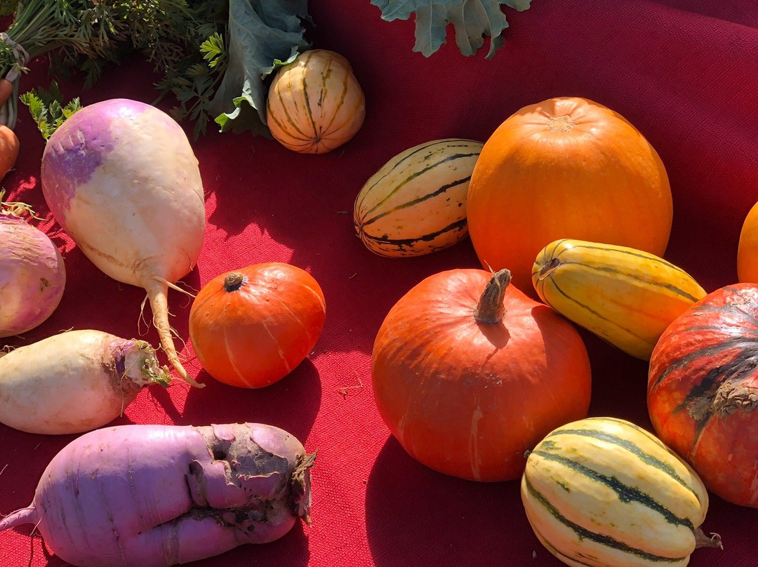 Arcata Plaza Farmers' Market景点图片