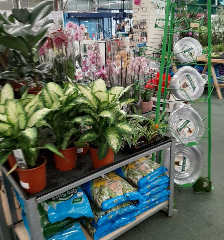 Trowell Garden Centre-Trowell必去景点