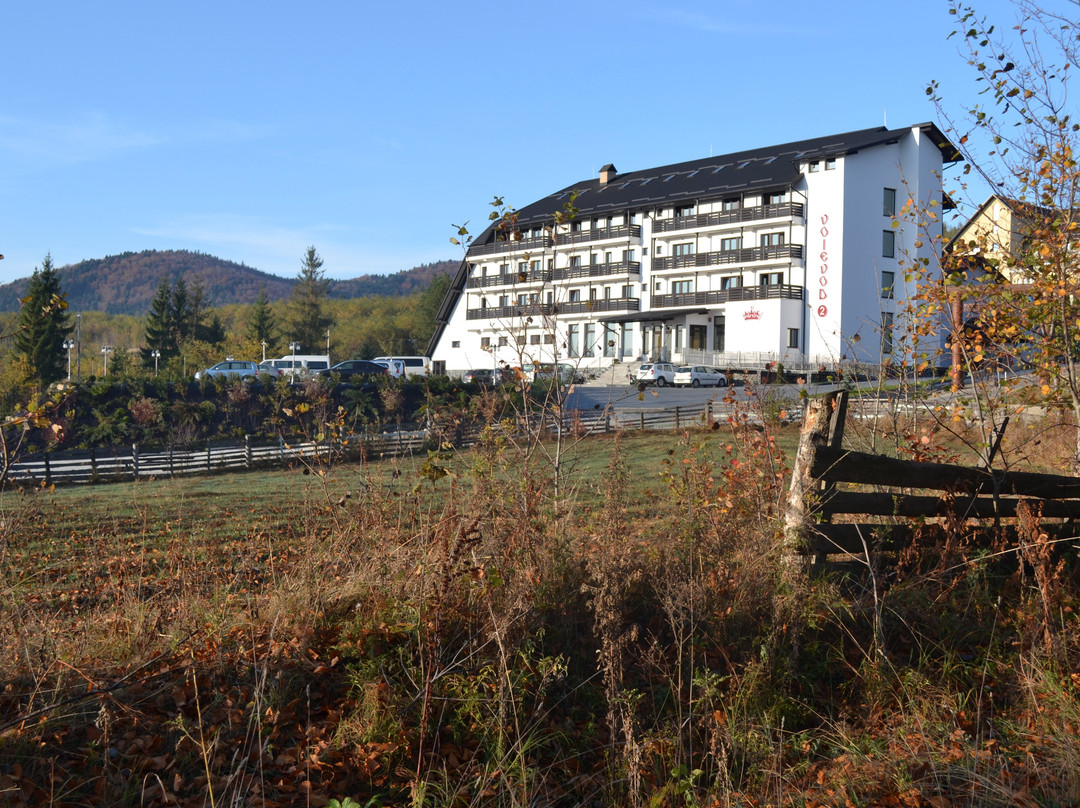 Hotel Voievod主图