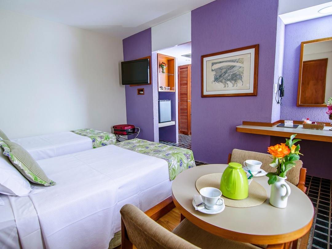 Stream Palace Hotel Ribeirão Preto主图