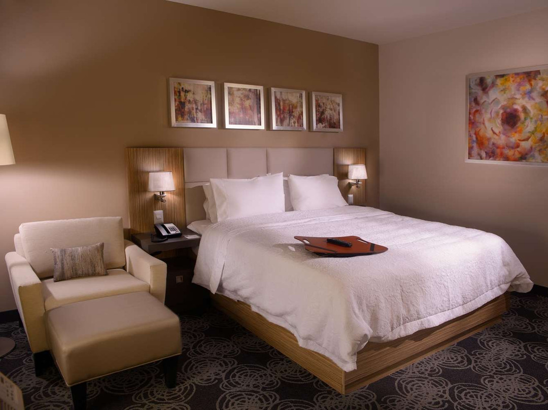 Hampton Inn By Hilton Zacatecas主图