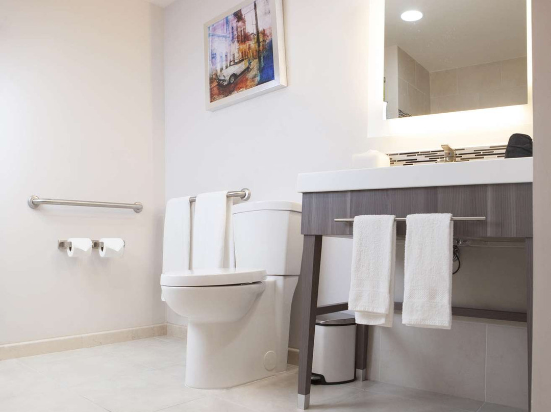 Hampton Ste By Hilton Aguascalientes Mex主图