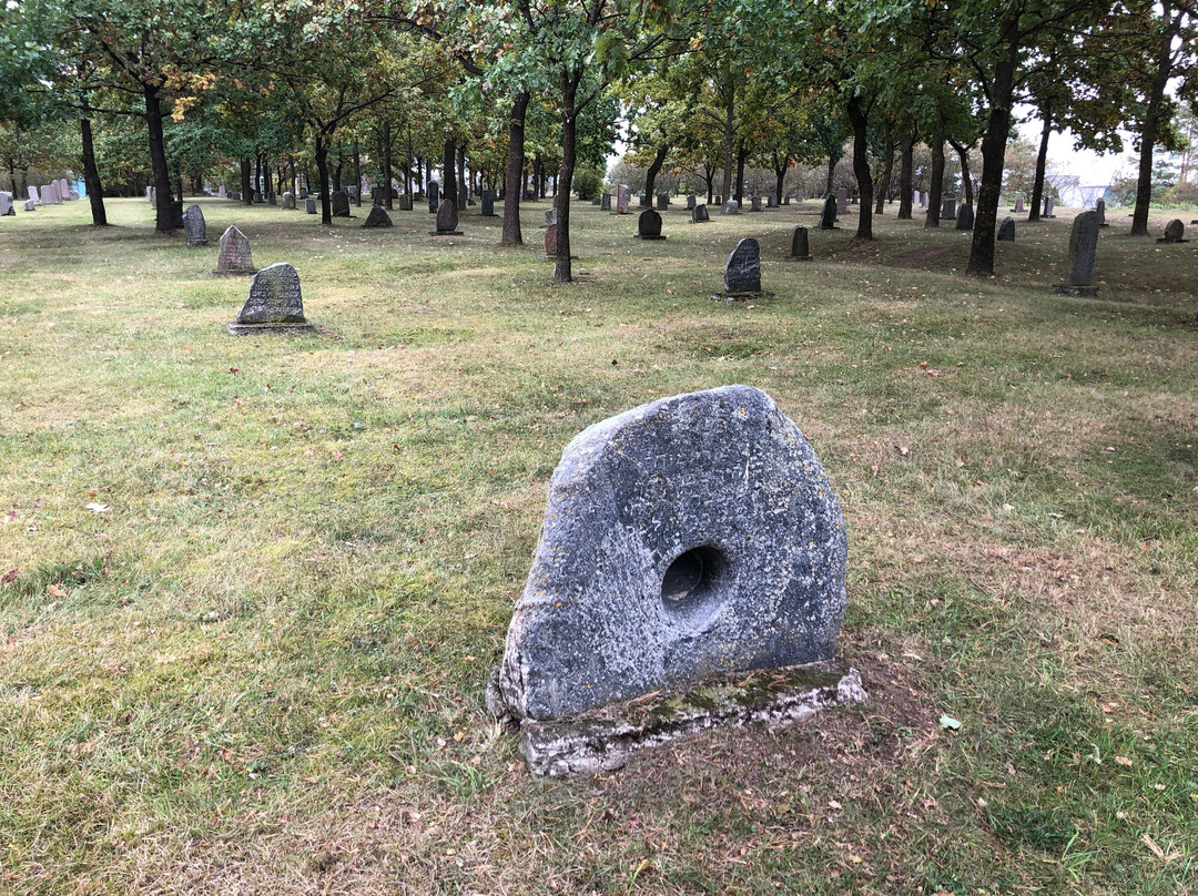 Jonavos Vara