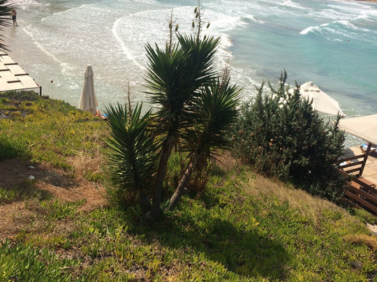 Hotel Babaylon主图