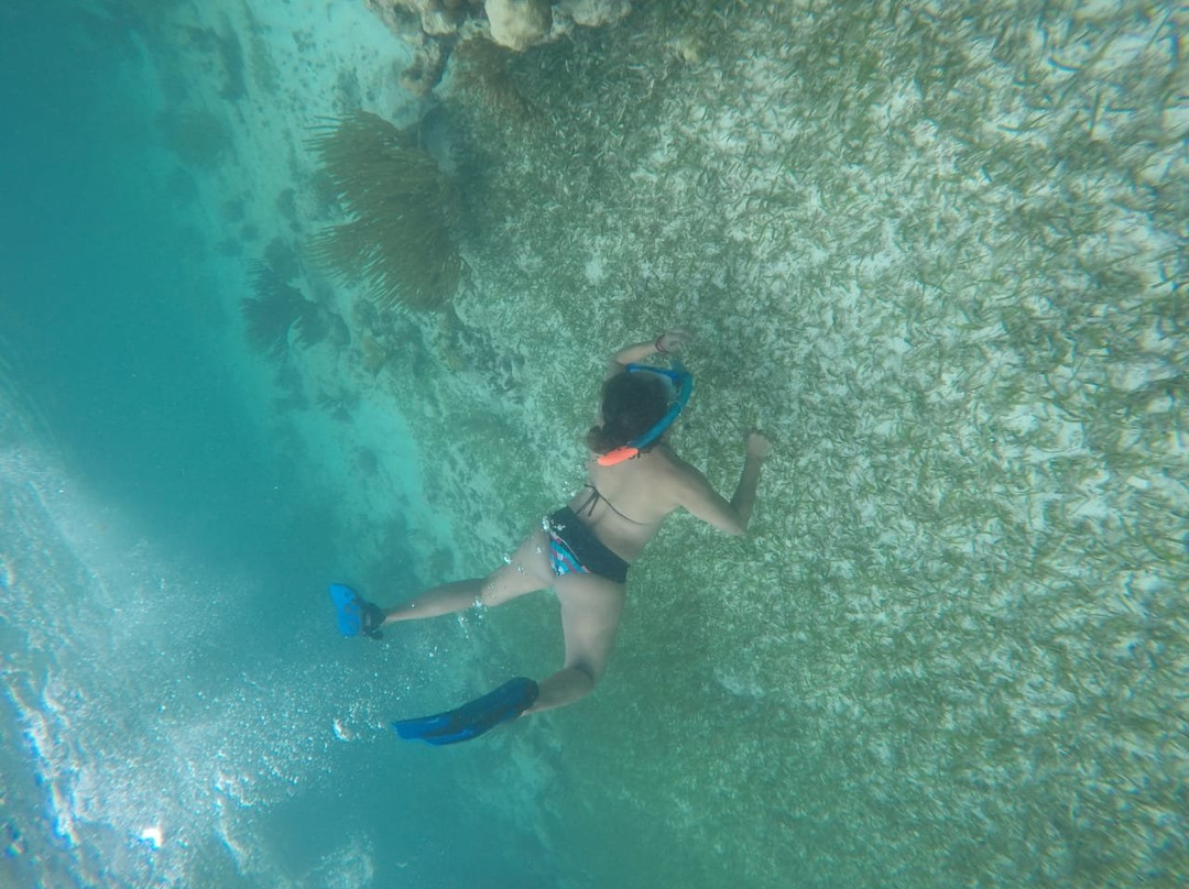 Lizeta Tours-Mahahual必去景点