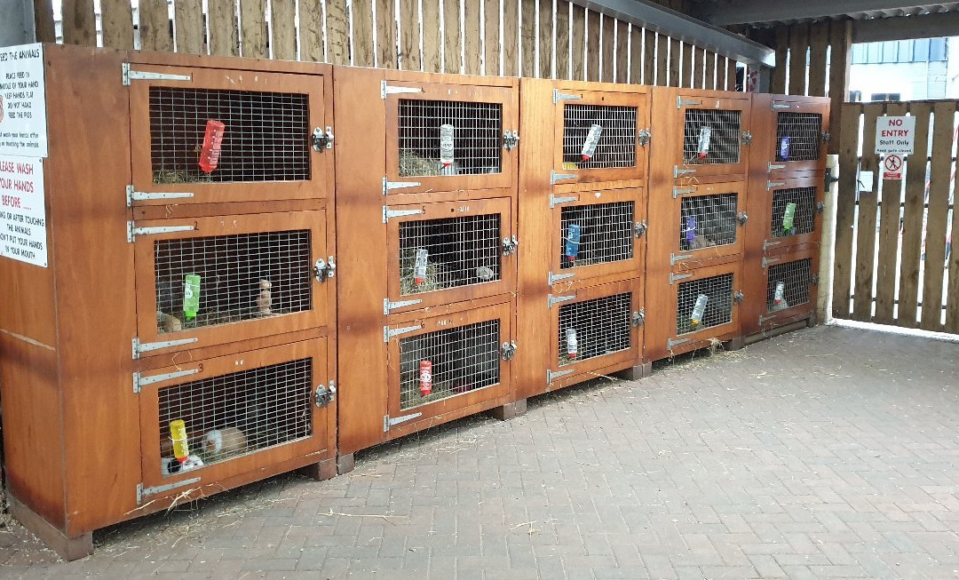 Cefn Mably Farm Park景点图片