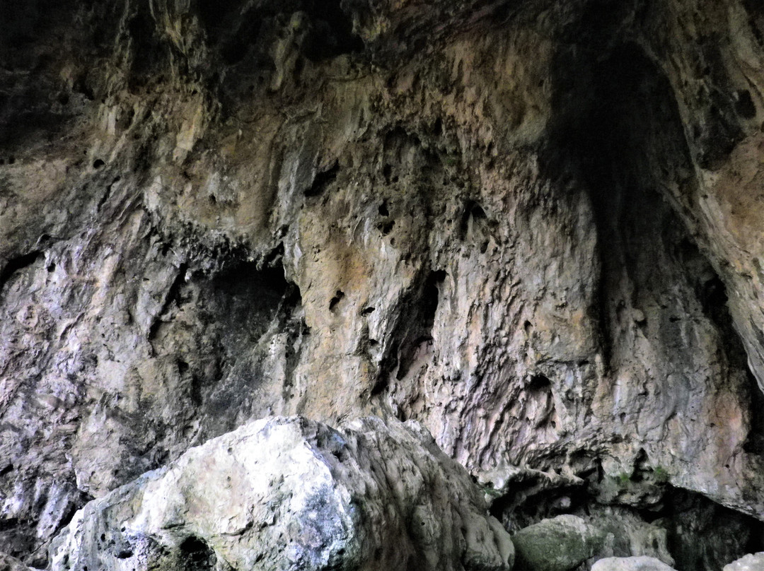 Riserva naturale orientata Pizzo Cane, Pizzo Trigna e Grotta Mazzamuto景点图片
