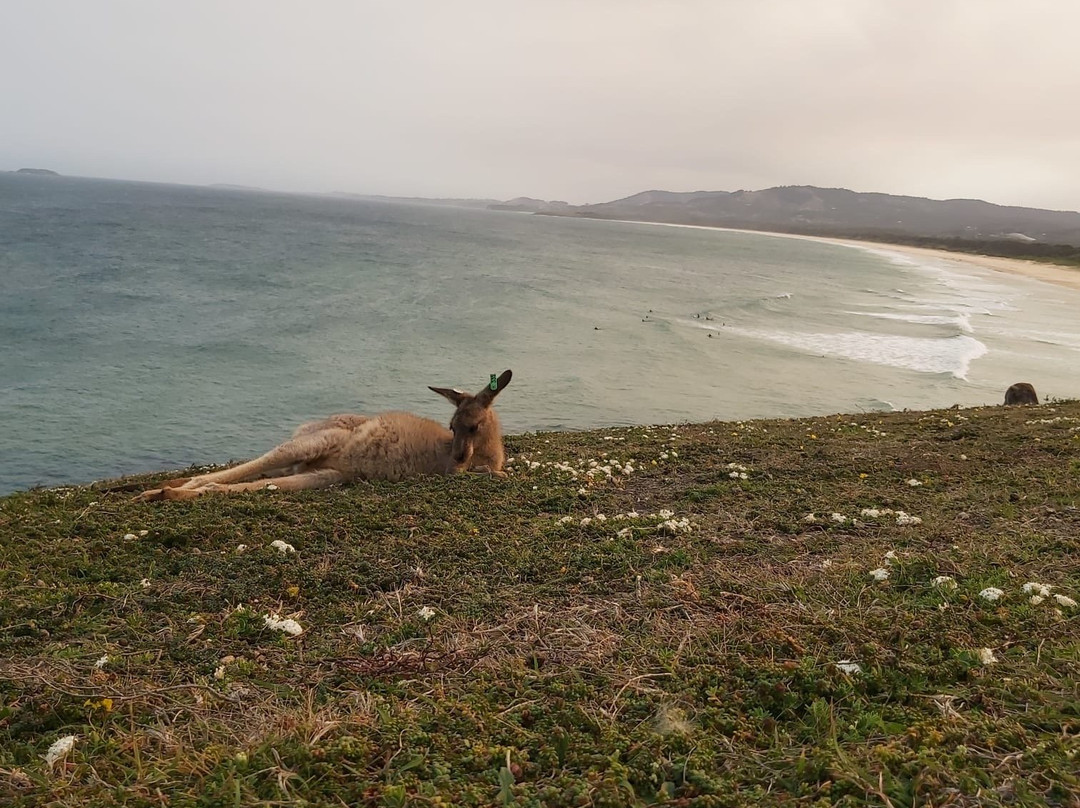 Emerald Beach-Emerald Beach必去景点