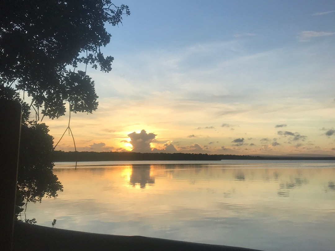 Pearl of Afrika主图