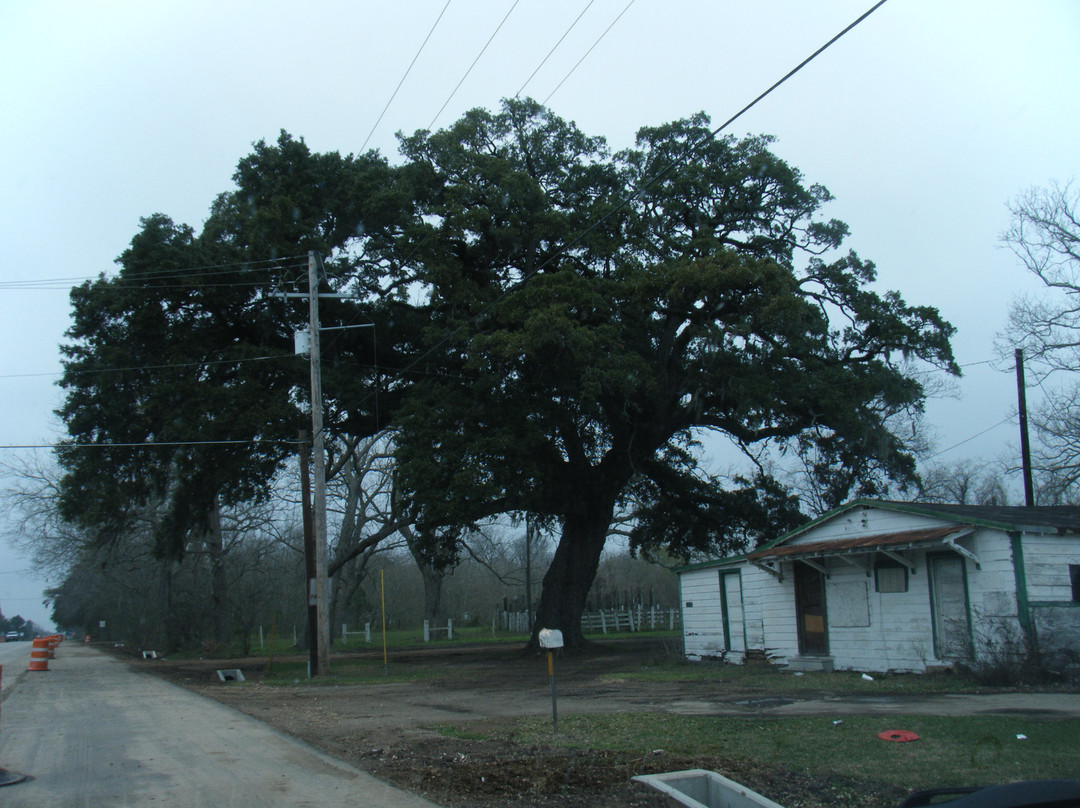 Tivoli旅游攻略图片