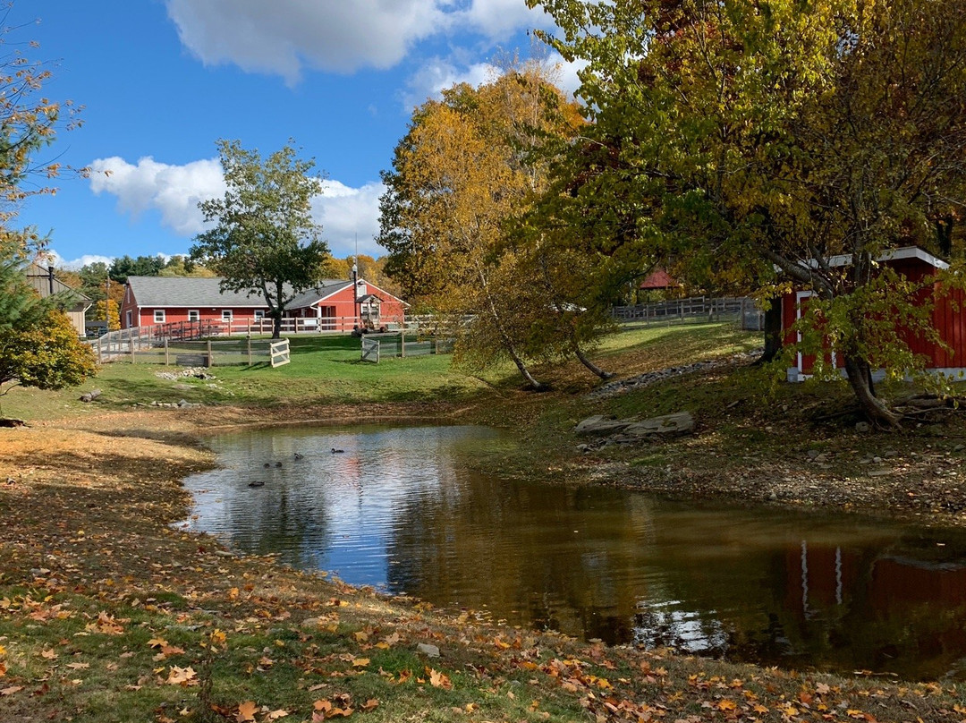 Green Hill Park-伍斯特必去景点