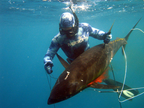 Puerto Rico Freedivers and Spearfishing Charters-圣胡安必去景点