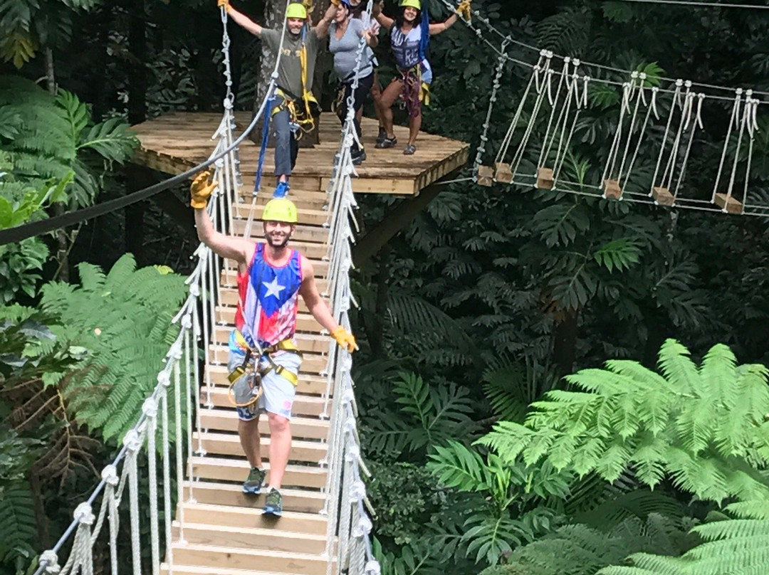 El Yunque Rainforest Corcovado Adventures-Luquillo必去景点