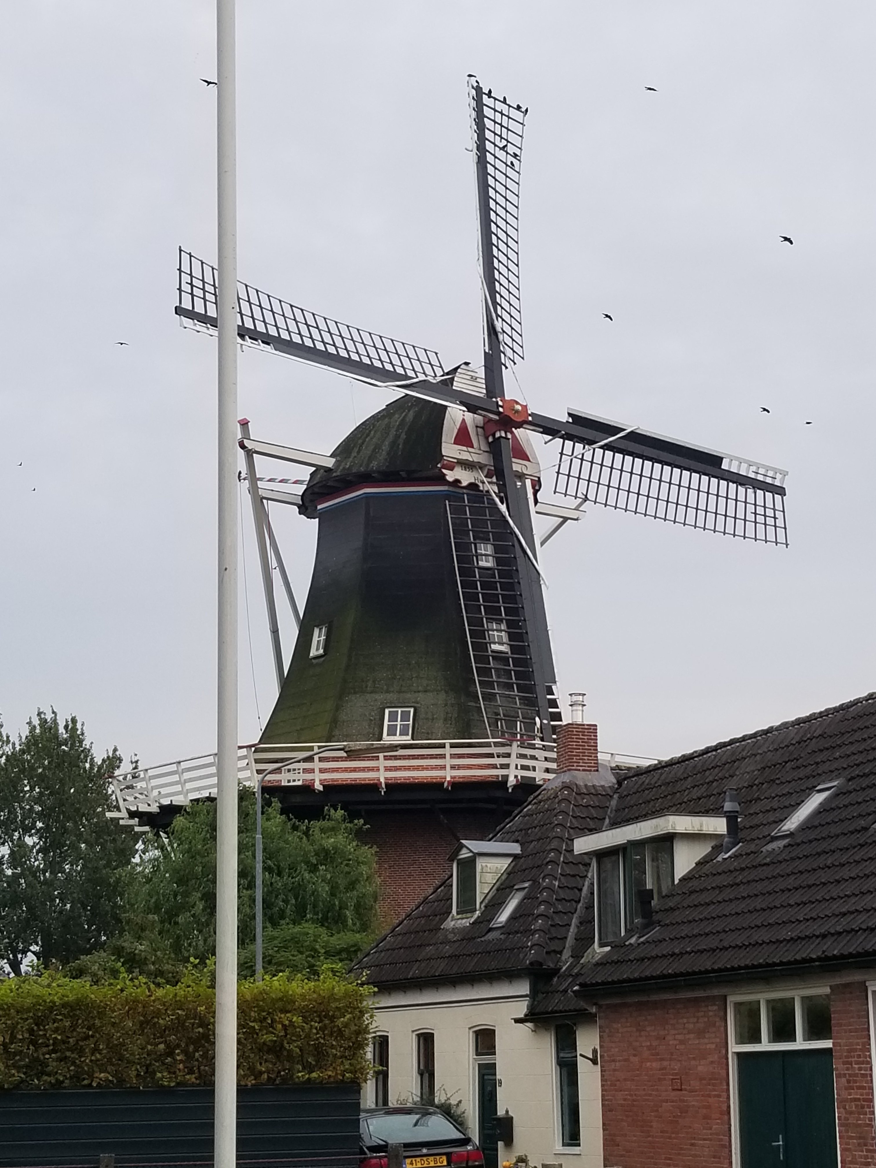 Molen Hunsingo-官方