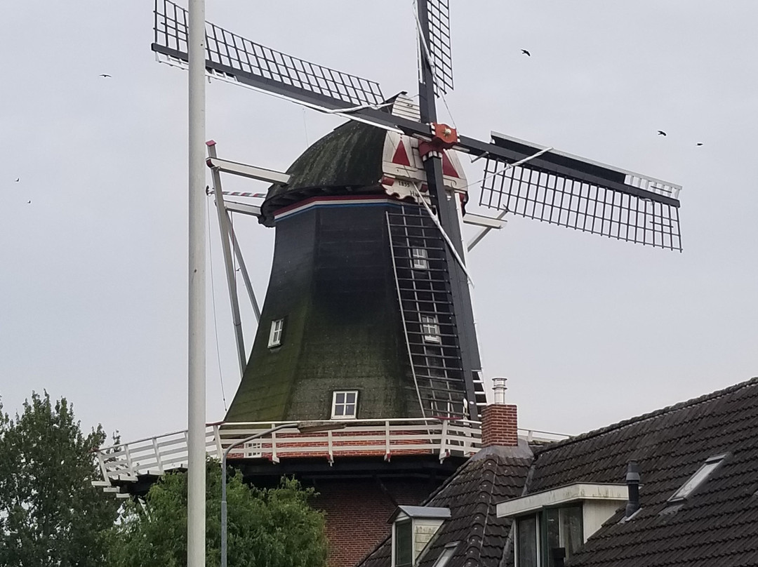 Molen Hunsingo主图