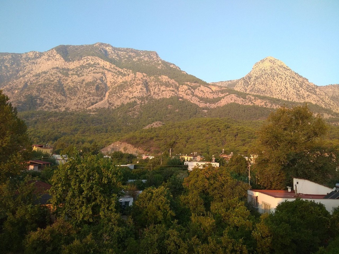 Gonul Palace Hotel主图