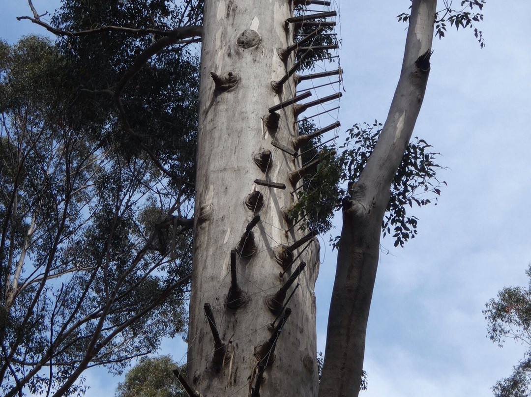 Boorara Gardner National Park-Northcliffe必去景点