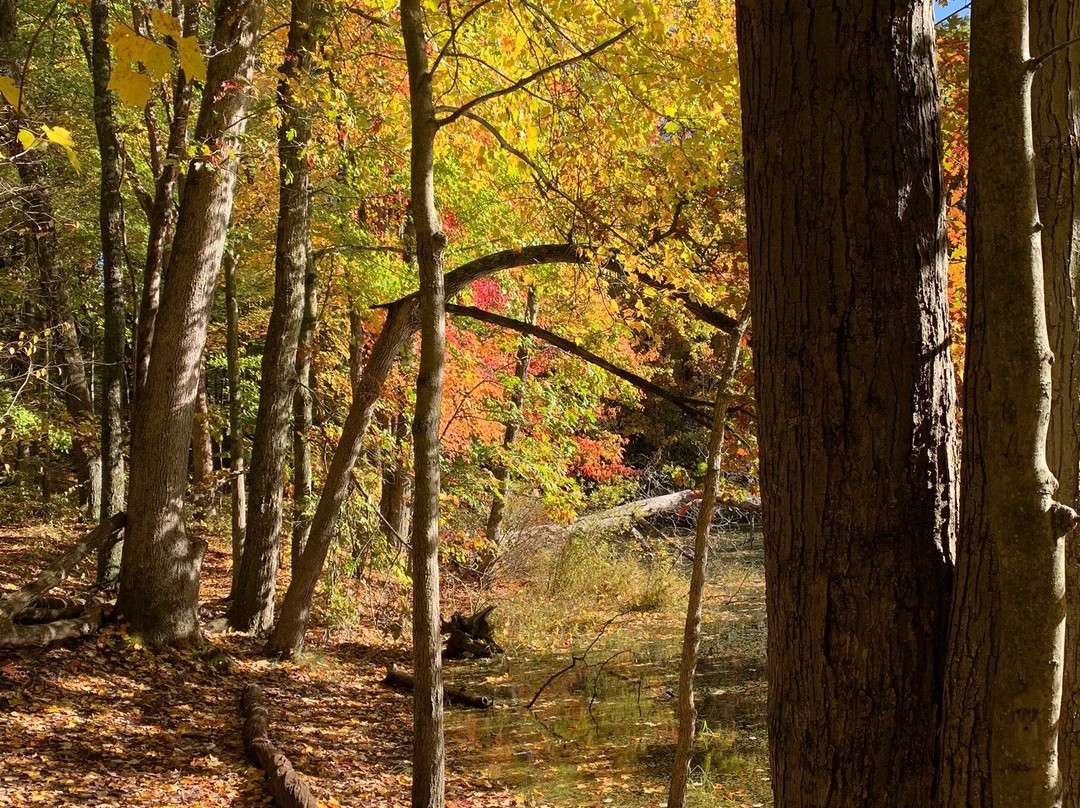 Seidman Park-Ada必去景点