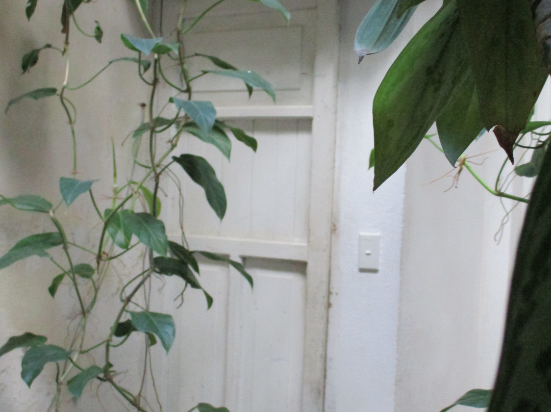 Hostal Casa Vieja主图