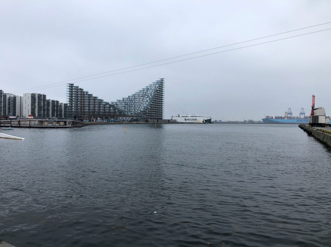 Aarhus Lystbaadehavn-欧胡斯必去景点