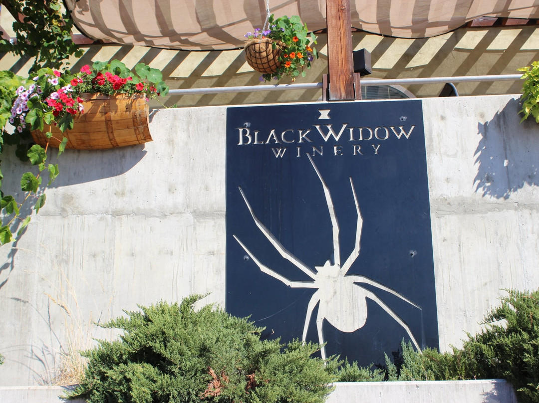 Black Widow Winery景点图片