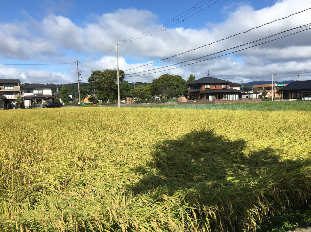 Harie Shozu no Kabata-高岛市必去景点