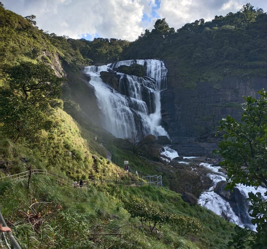 Mallalli Falls景点图片