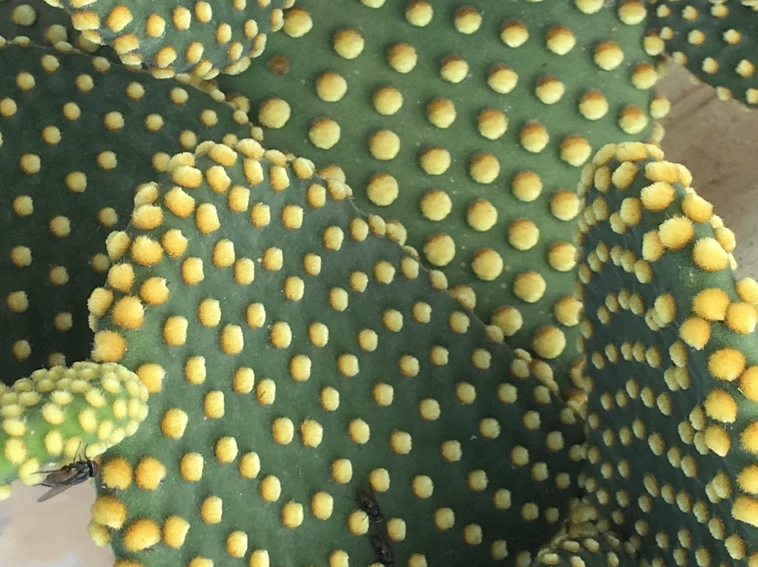 枫树农场住宿加早餐旅馆主图