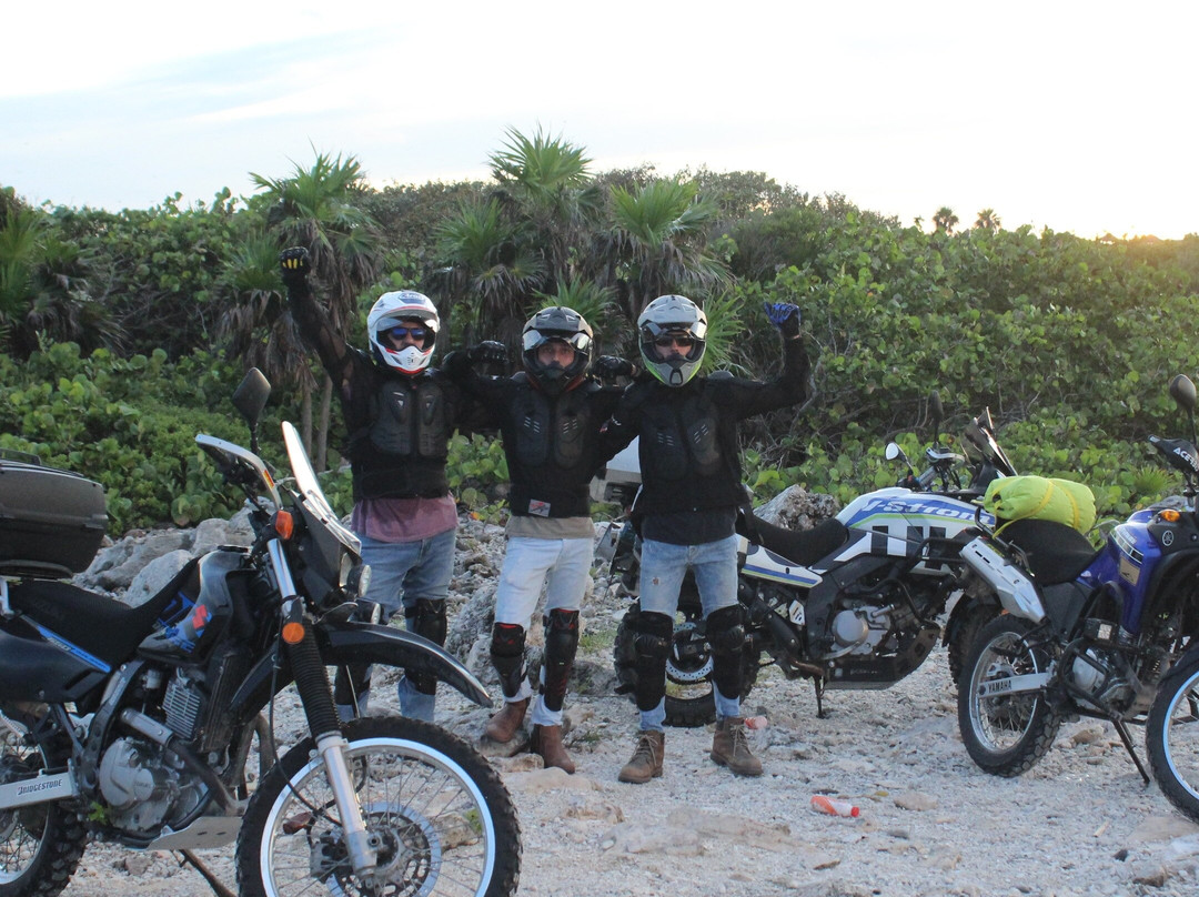 Adams Adv Bike Tours景点图片