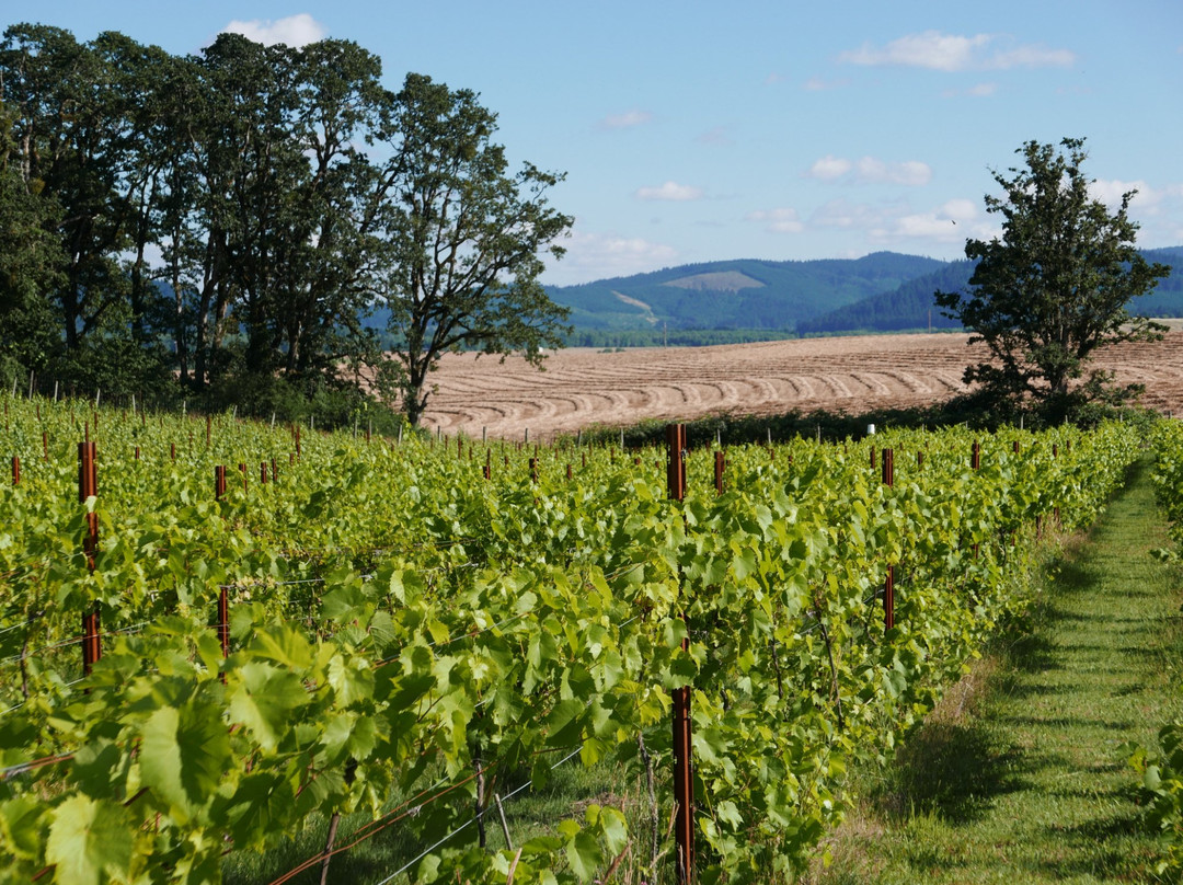 Emerson Vineyard-Monmouth必去景点