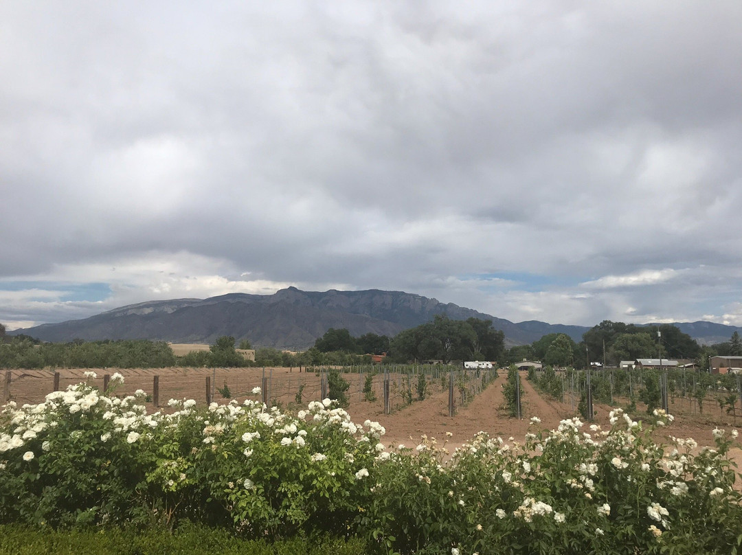 Corrales Winery景点图片