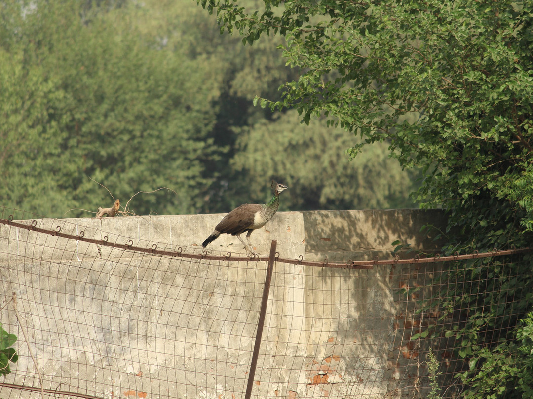 Rewild Life Biodiversity Farms景点图片