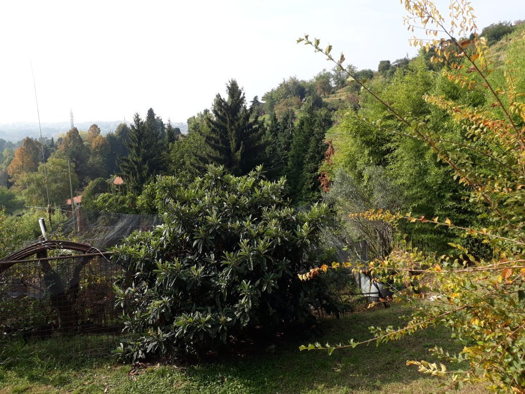 Parco regionale di Montevecchia e della Valle del Curone景点图片