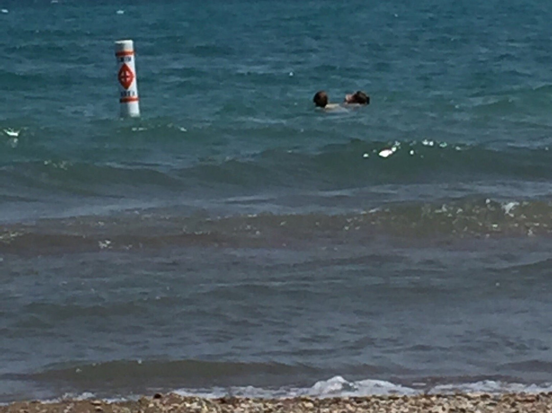 Avoca旅游景点-Fort Gratiot County Park