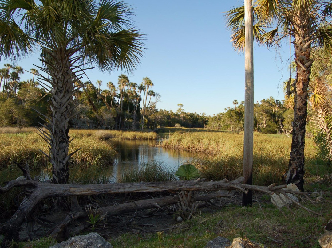 Crystal River Preserve State Park景点图片