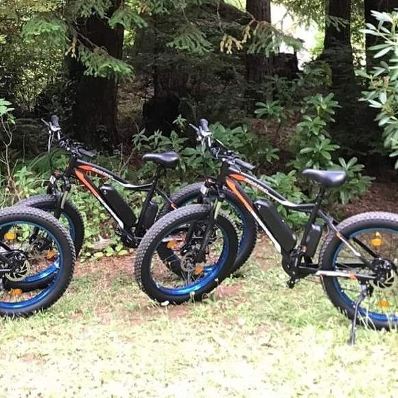 Redwood Eco Ebike Tours-克雷森特城必去景点