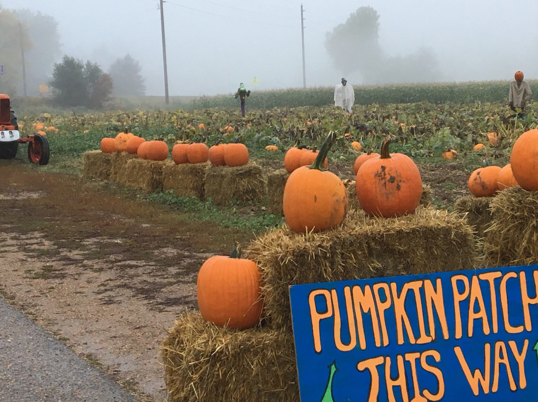 Munson Farms-博尔德必去景点