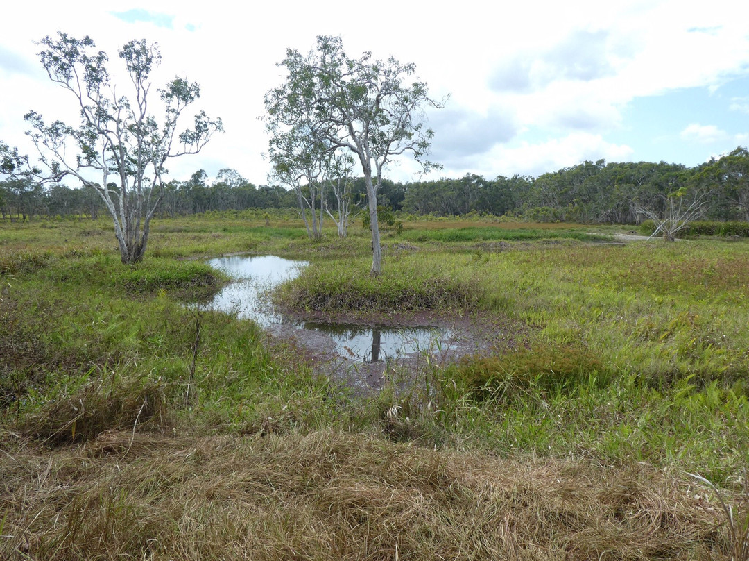 Abattoir Swamp Environmental Park-Julatten必去景点