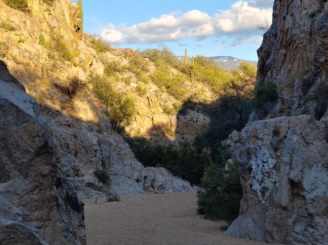 Oro Valley旅游景点-Honeybee Canyon Park