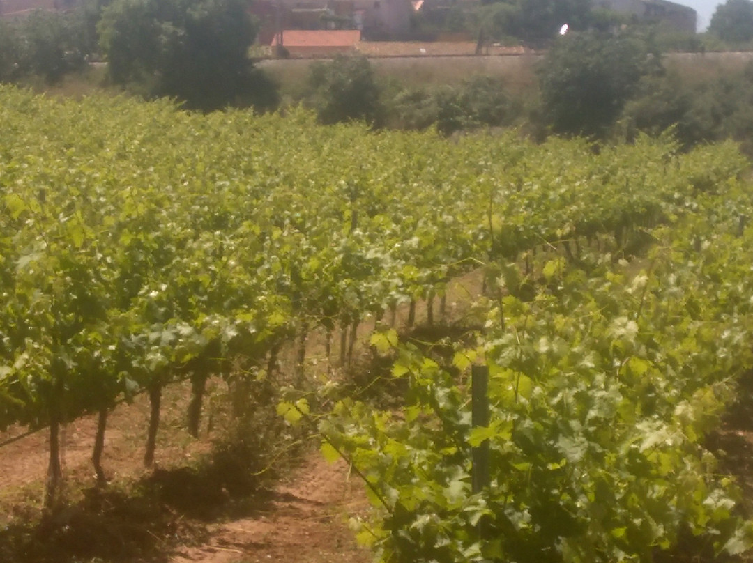 Esglesia Sant Joan Bautista景点图片