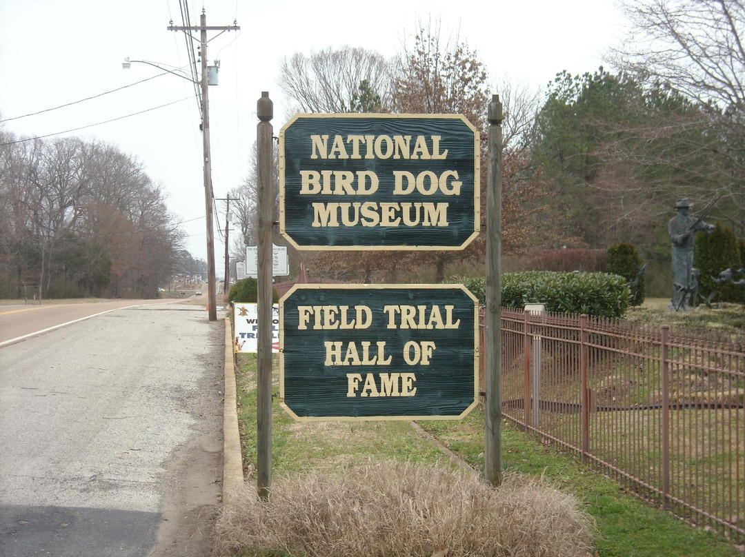 National Bird Dog Museum景点图片