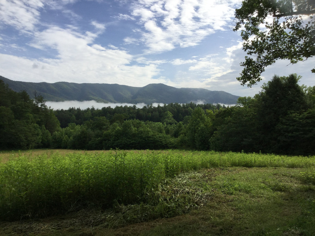 Cades Cove Campground Store and Bike Rental-汤森必去景点