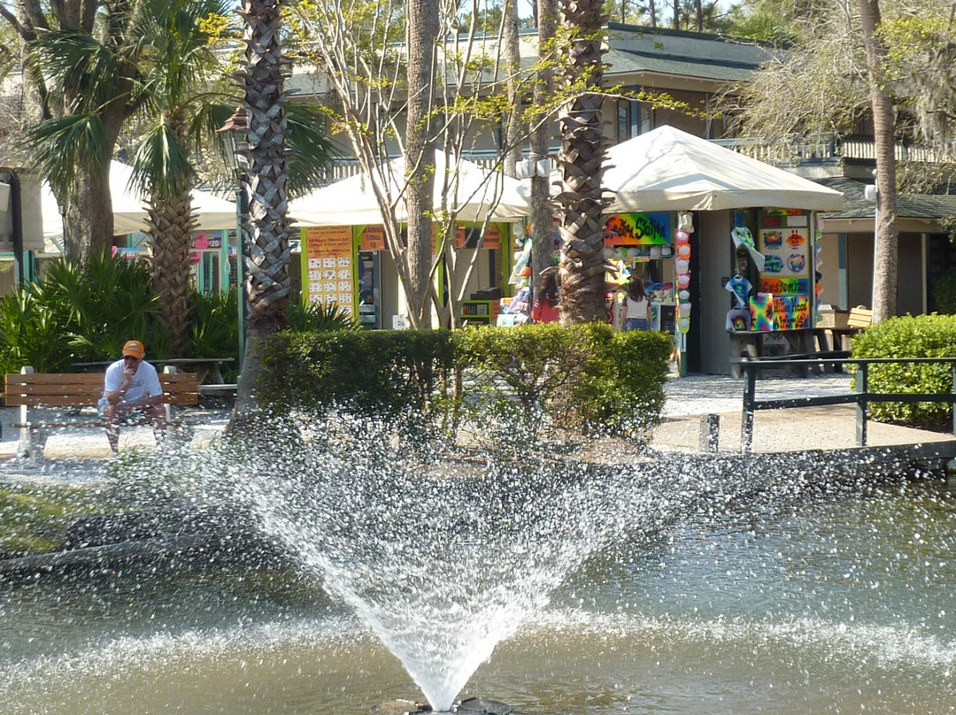 Coligny Plaza Shopping Center景点图片