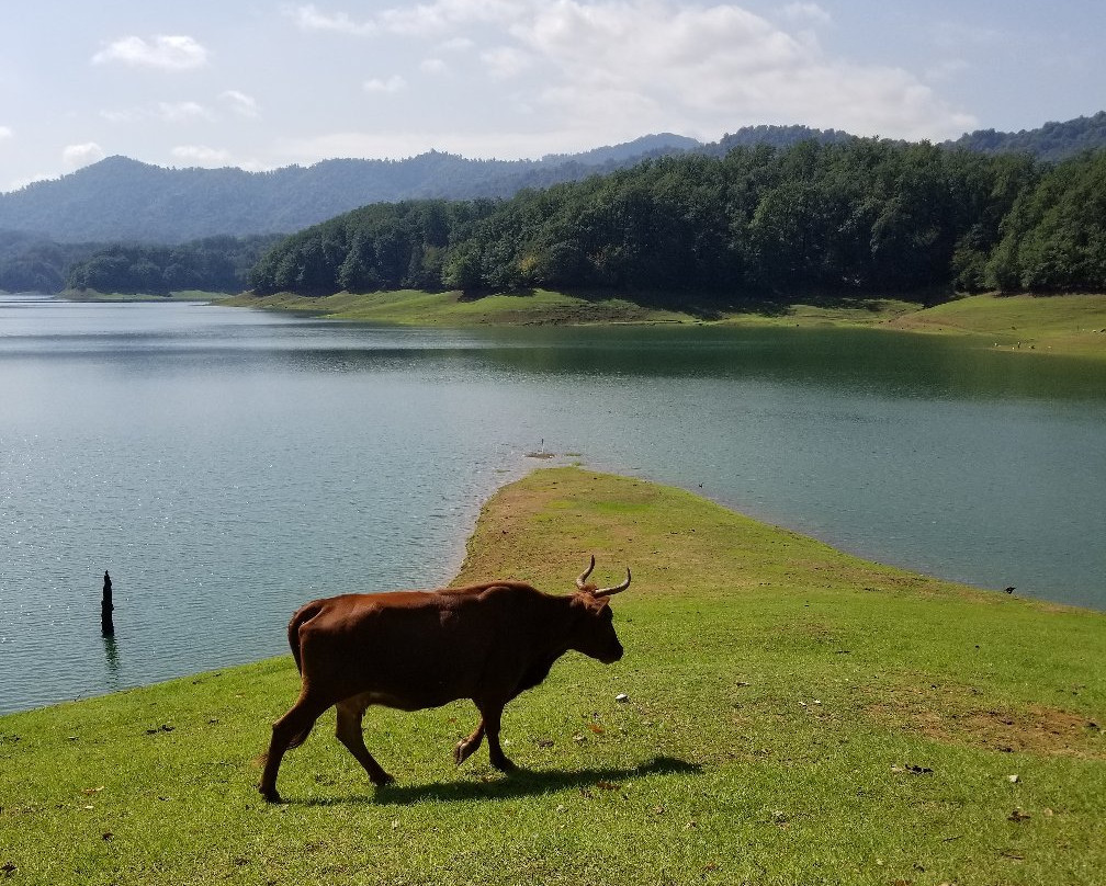 Khanbulanchay Reservoir景点图片